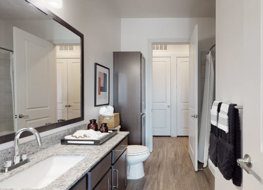 a bathroom with a sink and a toilet