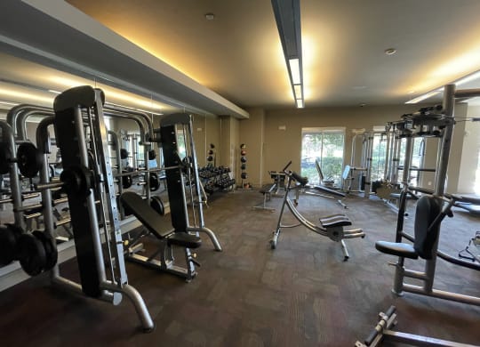 a gym with weights and cardio equipment on the floor and a window