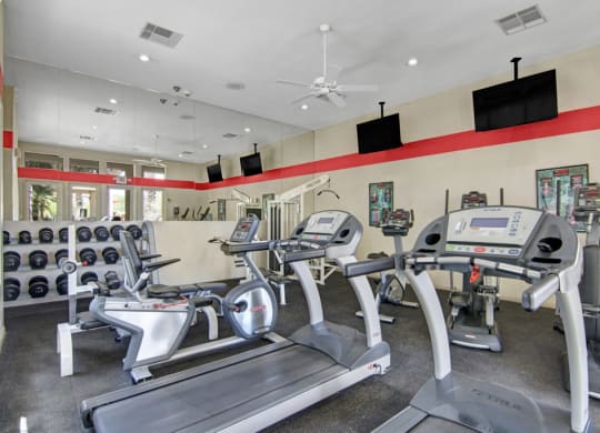 Bright gym here at Mirador Apartments with cardio machines, including treadmills and ellipticals, against mirrored walls. Dumbbells are neatly stacked on racks, creating an energetic and organized atmosphere.