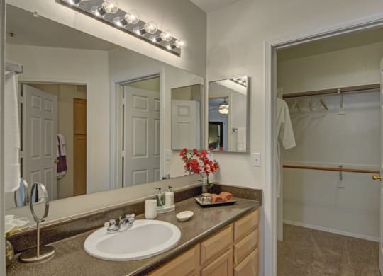 Modern bathroom here at Mirador Apartments with a dark countertop and white sink. A large mirror reflects ambient lighting. Open closet with hangers and a robe visible. Clean and inviting.