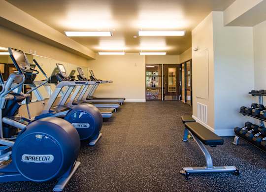 A gym with a variety of equipment including treadmills, dumbbells, and a bench.