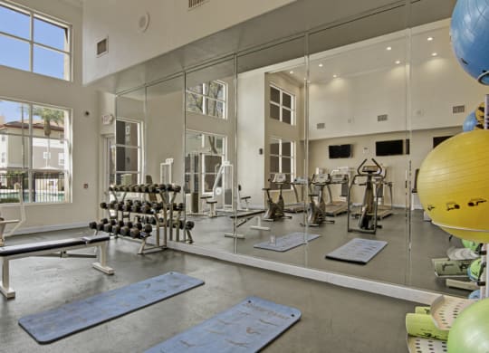 Bright gym here at Mozaic at Steele Park Apartments with large mirrors, showcasing a weight rack, exercise bike, bench, and fitness balls. Sunlight streams through tall windows, creating a vibrant and inviting atmosphere.