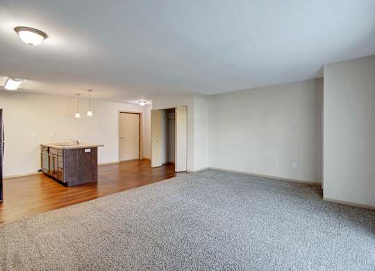 A large, empty room with a grey carpet and a wooden cabinet.