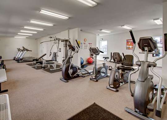 A spacious, well-lit fitness center here at Windscape Apartments featuring a variety of cardio machines, including ellipticals, stationary bikes, and treadmills, along with strength training equipment and free weights. The open layout, neutral flooring, wall mirrors, and bright overhead lighting create an inviting space for residents to work out comfortably.