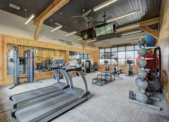 A gym with treadmills, weights, and exercise balls.