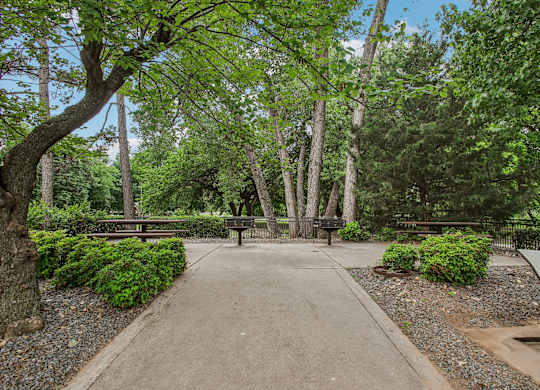 A park with a bench and a tree.