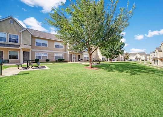 A tree in a grassy area in front of apartment buildings.