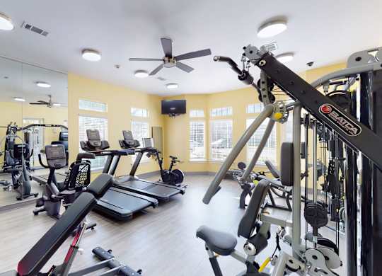 A gym with a variety of equipment including treadmills, weights, and a television.