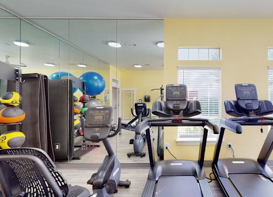 A gym with treadmills, elliptical machines, and other exercise equipment.