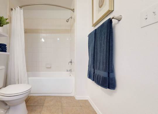 A white toilet sits next to a bathtub in a bathroom.