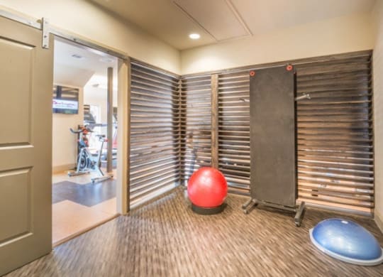 a fitness room with a red ball and a door
