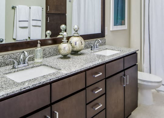 Nic on 5th Apartments in Minneapolis, Minnesota- Large furnished full bath washroom