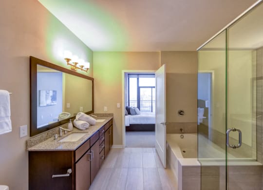 Nic on 5th Apartments in Minneapolis, Minnesota- large luxurious bathroom with full bath