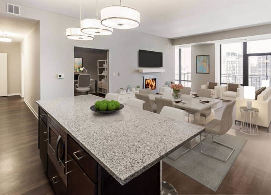 Nic on 5th Apartments in Minneapolis, Minnesota- large living room with wooden floors and views of Downtown West Minneapolis