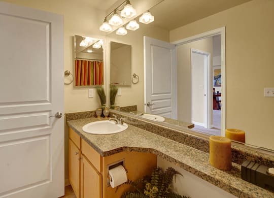 A well-lit bathroom here at Park Plaza 2 Apartments with a granite countertop, single sink, and a large mirror. Decor includes potted plants, candles, and a visible shower curtain.