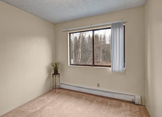 Empty bedroom here at Park Plaza Apartments with a large window showing leafless trees outside. Vertical blinds cover half the window. A plant on a stand decorates a corner.