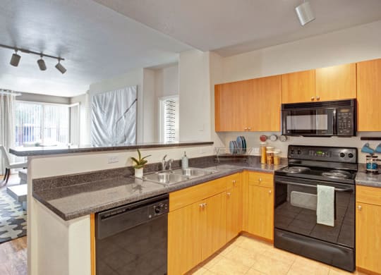 Modern kitchen here at Rio Paradiso Apartments with wooden cabinets and black appliances, featuring a double sink and sleek countertops. Bright dining area in the background with large windows.