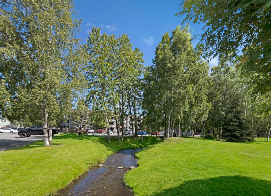A serene park scene here at Russian Jack Apartments with a narrow stream winding through lush green grass. Tall trees provide shade under a clear blue sky, creating a peaceful atmosphere.