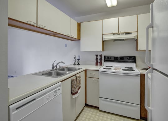 Silver Ridge Apartments - Kitchen