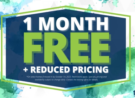 a blue and green sign that reads 1 month free + reduced pricing