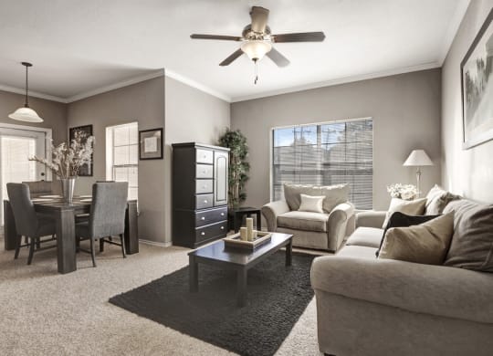 our apartments offer a living room with a couch a coffee table and a dining table