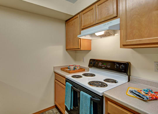 Compact kitchen here at Strawberry Lane Apartments with wooden cabinets, electric stovetop, and beige countertops. Bright towels and colorful mug add a splash of color, evoking warmth.