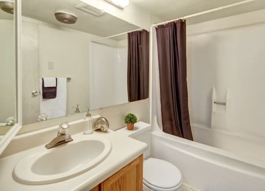 Compact bathroom Terrace on the Lake Apartments with beige walls features a white sink, wooden cabinet, brown shower curtain, and small green plant. Mood is tidy and simple.