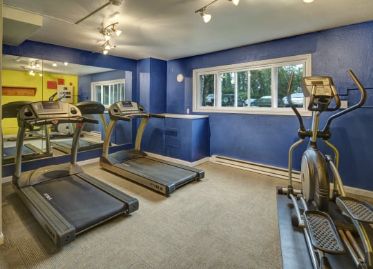 Small gym here at Terrace on the Lake Apartments with bright blue walls, featuring two treadmills and an elliptical machine. A large mirror and window provide natural light. Clean and inviting atmosphere.