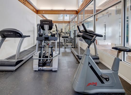 Modern gym here at The Highlands Luxury Apartments with treadmills, stationary bike, and workout equipment. Natural light streams through the large windows, creating an airy and motivating atmosphere.