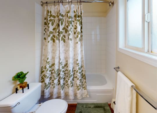 Small bathroom here at the Village at Calais Apartments with a white toilet topped with a plant, a green-and-white leaf-patterned shower curtain, and a window. A towel hangs on a rail.