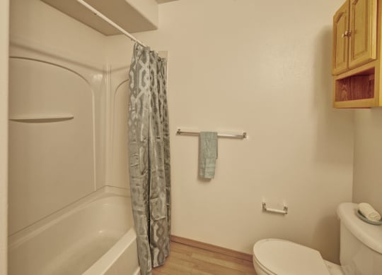 Timber Ridge Apartments - Bathroom