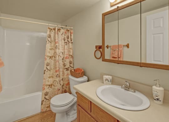 Timber Ridge Apartments - Bathroom