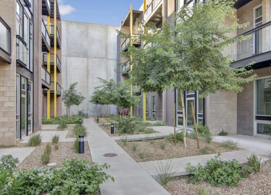 a courtyard with trees and plants in front of a building