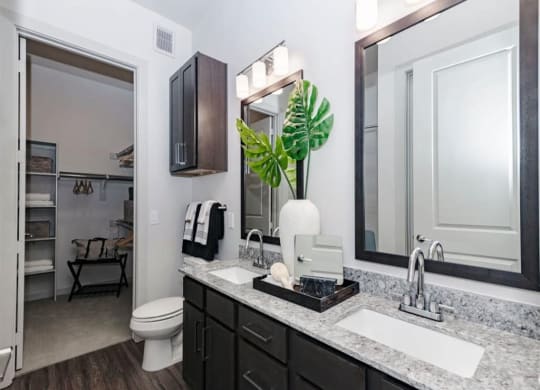 a bathroom with a sink and a toilet
