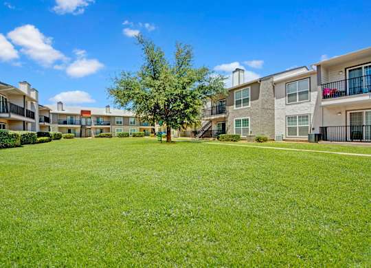 A spacious outdoor courtyard here at High Plains with a wide, manicured green lawn surrounded by apartment buildings featuring private balconies and large windows. A mature tree sits at the center of the space, creating a bright, open, and welcoming community setting under clear blue skies.