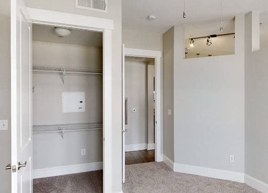 A white closet with a white door is open to a room with a carpeted floor.