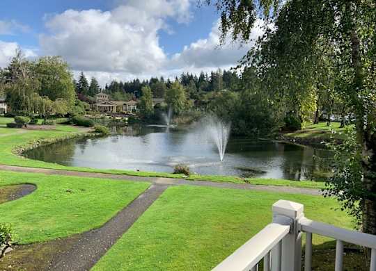 A fountain in the middle of a pond in a park.