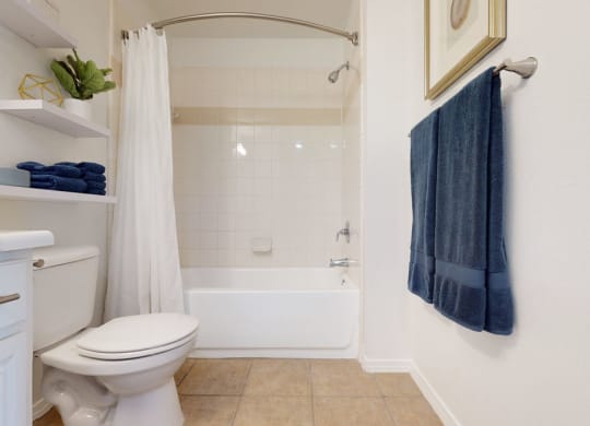 a bathroom with a toilet and a bathtub