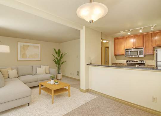 A bright open living room here at Asbury Park featuring a light sectional sofa with neutral pillows, a simple wood coffee table on soft carpet, and a tall indoor plant, flowing into a kitchen with warm wood cabinetry, a breakfast bar, track lighting, and stainless steel appliances for a comfortable, open layout.