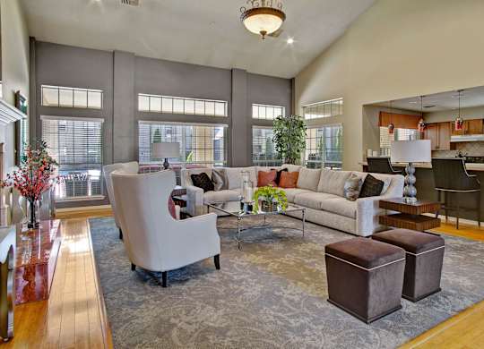 A living room with a white sofa and a grey rug.