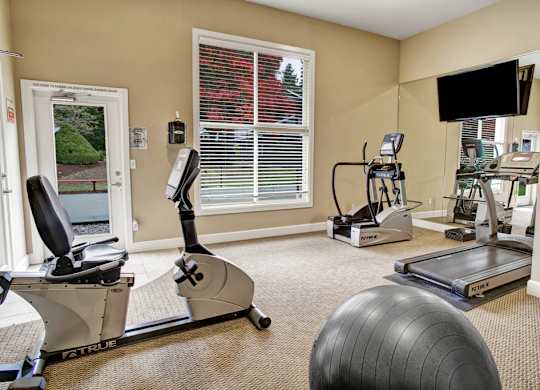 A compact fitness room here at Colonial Square featuring cardio equipment including a treadmill, stationary bike, and elliptical machine, complemented by a wall mirror, mounted television, large window with blinds bringing in natural light, and neutral carpeting that creates a clean and functional workout space.