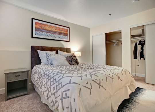 A comfortable bedroom here at Forest Greens featuring plush carpet flooring, a bed with patterned bedding and layered accent pillows, and a nightstand with a table lamp. The space includes a framed wall art piece above the headboard, sliding closet doors with open storage visible, neutral wall tones, and soft lighting that creates a warm, inviting atmosphere.
