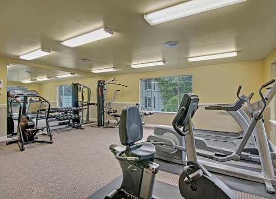 A spacious fitness center here at Island Park featuring cardio equipment including treadmills, ellipticals, and a stationary bike, along with strength training machines and free weights. Large windows line the walls to bring in natural light, while mirrors and bright overhead lighting create an open, functional workout space.