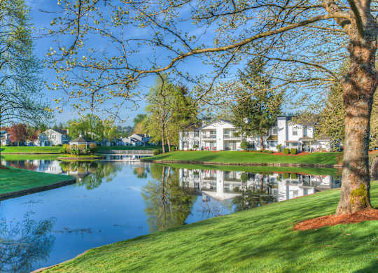 A tranquil pond view here at Island Park showcasing calm water reflecting surrounding apartment homes, mature trees, and landscaped green lawns. Branches with fresh spring leaves frame the scene, while walking paths and residential buildings sit along the water’s edge under a clear blue sky.