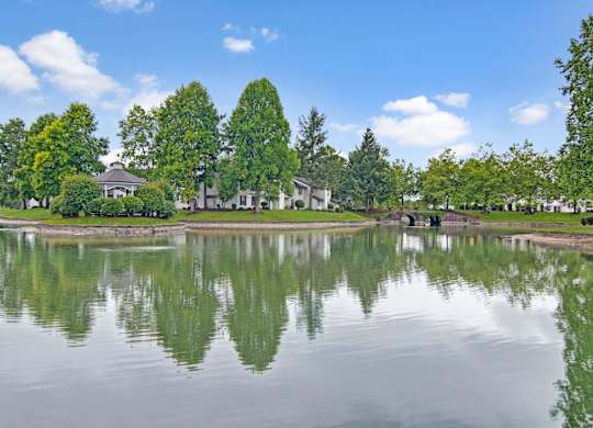 A peaceful waterfront view here at Island Park featuring a calm pond with soft ripples reflecting mature trees, manicured lawns, and nearby apartment homes. A small gazebo and stone bridge sit along the shoreline, while leafy greenery and a bright blue sky with scattered clouds create a serene outdoor setting.