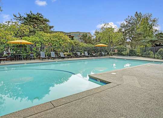 A resort-style outdoor swimming pool here at Lakeside featuring a spacious concrete pool deck with in-water steps, a row of lounge chairs and yellow umbrellas along a black metal fence, and lush trees and greenery surrounding the area beneath a bright blue sky for a relaxing community retreat.