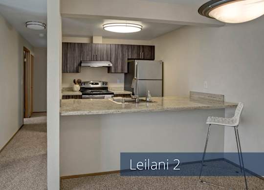 A modern kitchen here at Leilani on Greenwood featuring gray wood-style cabinetry, a light stone countertop, and a wide breakfast bar with seating. Stainless steel appliances and an integrated sink face the open living area, while soft overhead lighting and neutral finishes create a clean, functional layout.