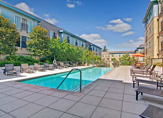A spacious outdoor swimming pool here at Leilani on Greenwood showcasing a rectangular pool with clear blue water, a wide concrete pool deck, multiple lounge chairs arranged along both sides, a metal handrail for pool entry, mature trees and landscaped greenery, red patio umbrellas, and surrounding modern apartment buildings under a bright blue sky.