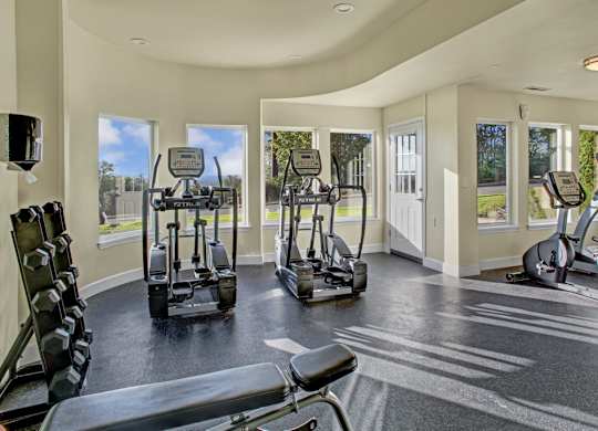 A sunlit fitness center here at Regency Woods featuring multiple cardio machines positioned near large windows, rubber flooring for workouts, a free-weight rack, and a padded bench, with natural light and outdoor views creating an open, energizing exercise space.