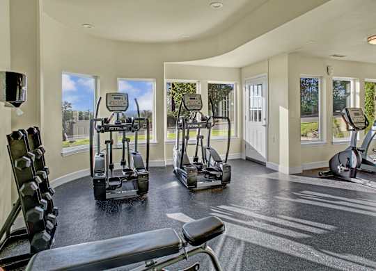 A sunlit fitness center here at Regency Woods featuring multiple cardio machines positioned near large windows, rubber flooring for workouts, a free-weight rack, and a padded bench, with natural light and outdoor views creating an open, energizing exercise space.